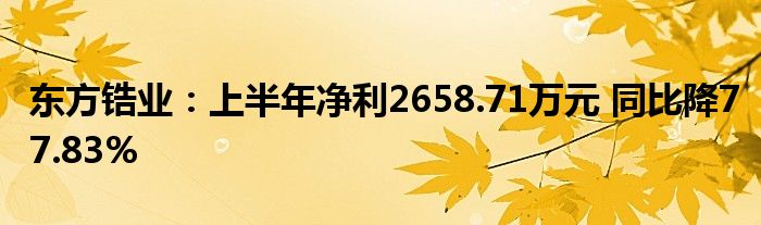 东方锆业:上半年净利2658.71万元 同比降77.83%
