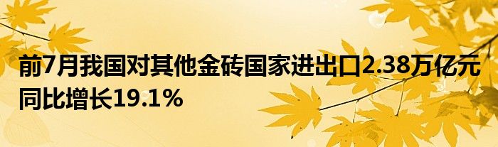 前7月我国对其他金砖国家进出口2.38万亿元 同比增长19.1%