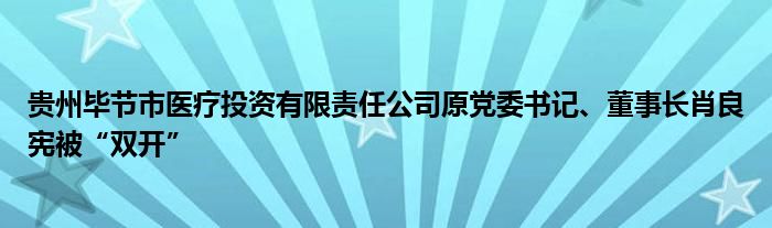 贵州毕节市医疗投资有限责任公司原党委书记、董事长肖良宪被“双开”