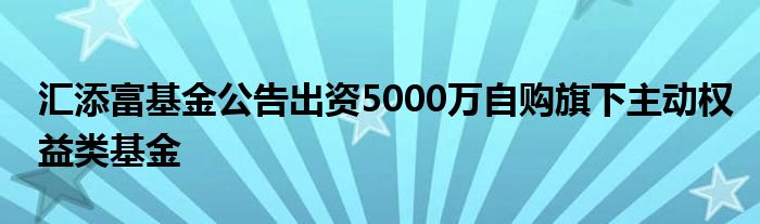 汇添富基金公告出资5000万自购旗下主动权益类基金