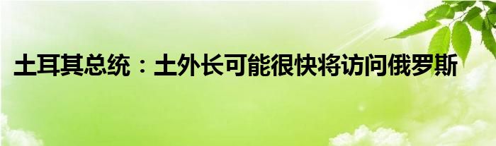 土耳其总统:土外长可能很快将访问俄罗斯