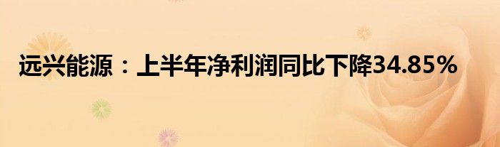 远兴能源:上半年净利润同比下降34.85%