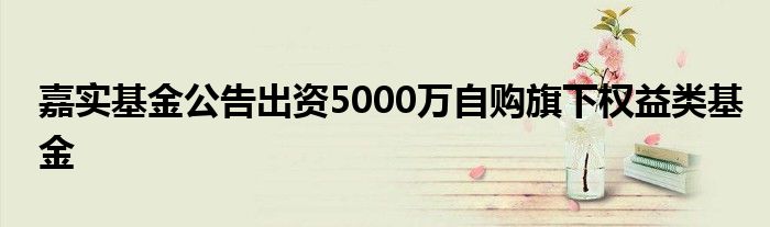 嘉实基金公告出资5000万自购旗下权益类基金