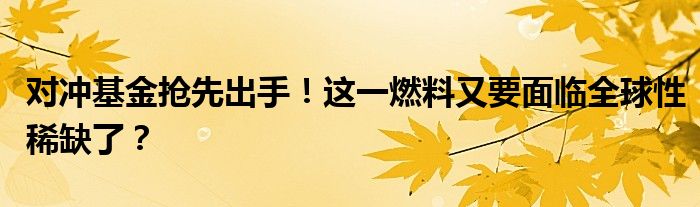 对冲基金抢先出手!这一燃料又要面临全球性稀缺了?