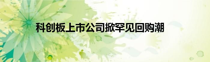 科创板上市公司掀罕见回购潮