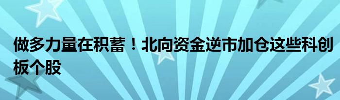 做多力量在积蓄!北向资金逆市加仓这些科创板个股