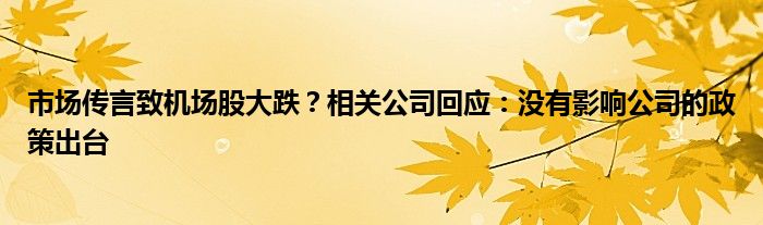 市场传言致机场股大跌?相关公司回应:没有影响公司的政策出台