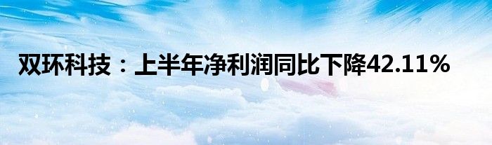 双环科技：上半年净利润同比下降42.11%