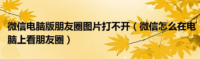 微信电脑版朋友圈图片打不开（微信怎么在电脑上看朋友圈）
