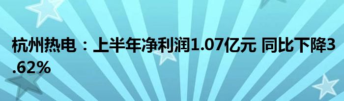 杭州热电:上半年净利润1.07亿元 同比下降3.62%