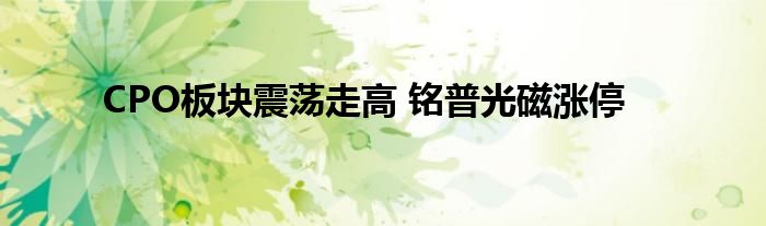 CPO板块震荡走高 铭普光磁涨停