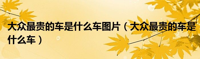 大众最贵的车是什么车图片(大众最贵的车是什么车)