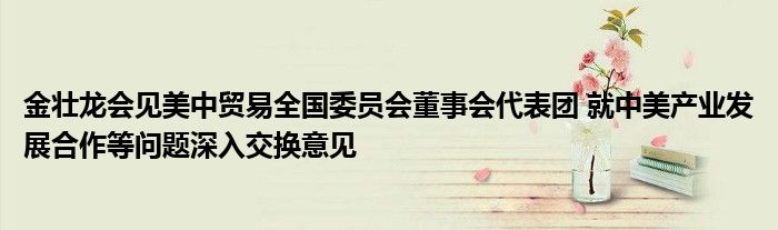 金壮龙会见美中贸易全国委员会董事会代表团 就中美产业发展合作等问题深入交换意见