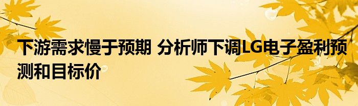 下游需求慢于预期 分析师下调LG电子盈利预测和目标价