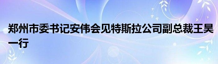 郑州市委书记安伟会见特斯拉公司副总裁王昊一行