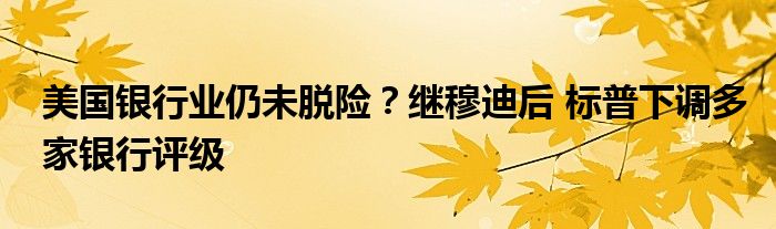 美国银行业仍未脱险?继穆迪后 标普下调多家银行评级
