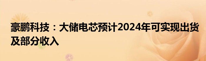 豪鹏科技:大储电芯预计2024年可实现出货及部分收入
