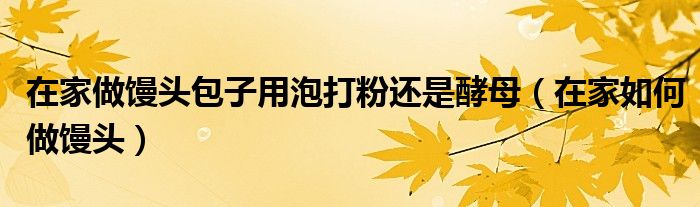 在家做馒头包子用泡打粉还是酵母(在家如何做馒头)