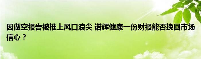 因做空报告被推上风口浪尖 诺辉健康一份财报能否挽回市场信心?