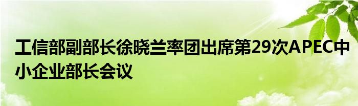 工信部副部长徐晓兰率团出席第29次APEC中小企业部长会议