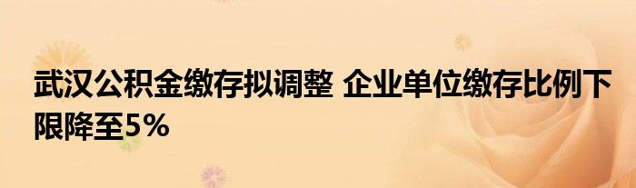 武汉公积金缴存拟调整 企业单位缴存比例下限降至5%
