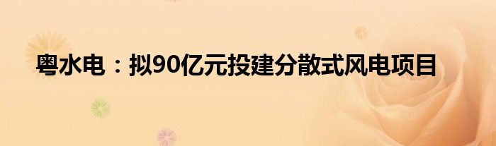 粤水电:拟90亿元投建分散式风电项目