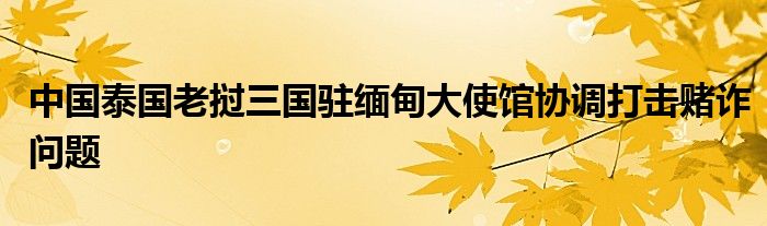 中国泰国老挝三国驻缅甸大使馆协调打击赌诈问题