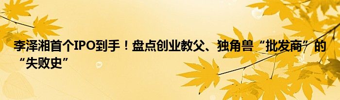 李泽湘首个IPO到手!盘点创业教父、独角兽“批发商”的“失败史”