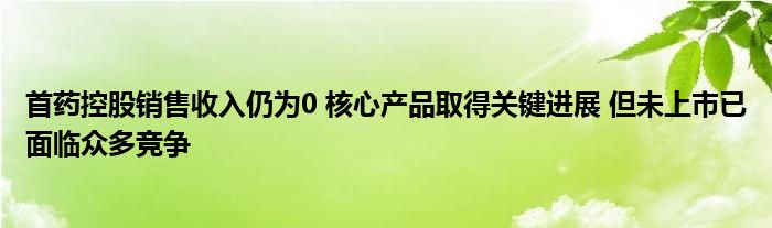 首药控股销售收入仍为0 核心产品取得关键进展 但未上市已面临众多竞争