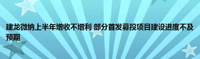 建龙微纳上半年增收不增利 部分首发募投项目建设进度不及预期