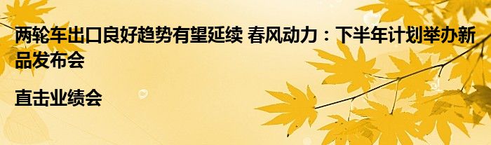 两轮车出口良好趋势有望延续 春风动力:下半年计划举办新品发布会|直击业绩会