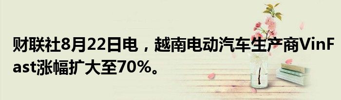 财联社8月22日电,越南电动汽车生产商VinFast涨幅扩大至70%。