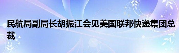 民航局副局长胡振江会见美国联邦快递集团总裁