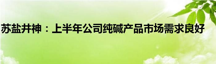 苏盐井神：上半年公司纯碱产品市场需求良好