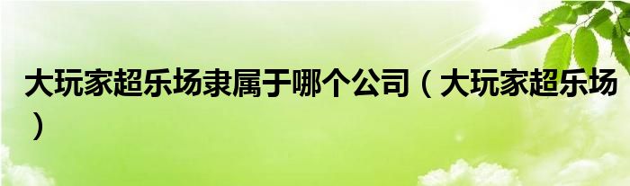 大玩家超乐场隶属于哪个公司(大玩家超乐场)