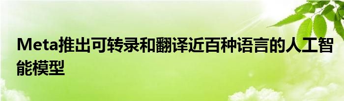 Meta推出可转录和翻译近百种语言的人工智能模型