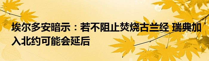 埃尔多安暗示:若不阻止焚烧古兰经 瑞典加入北约可能会延后