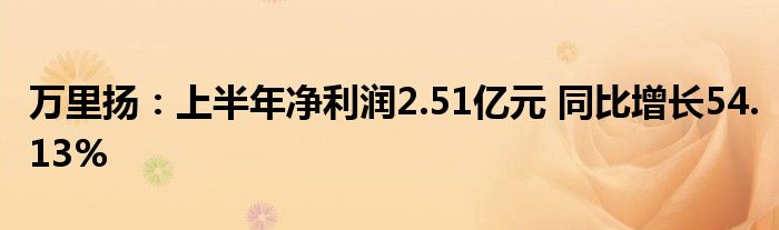 万里扬:上半年净利润2.51亿元 同比增长54.13%