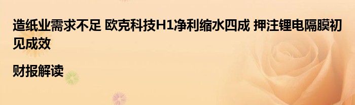 造纸业需求不足 欧克科技H1净利缩水四成 押注锂电隔膜初见成效|财报解读