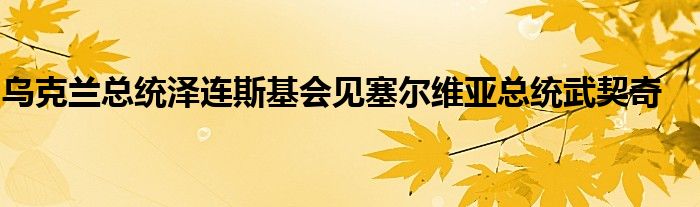 乌克兰总统泽连斯基会见塞尔维亚总统武契奇