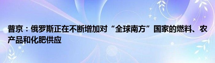 普京:俄罗斯正在不断增加对“全球南方”国家的燃料、农产品和化肥供应
