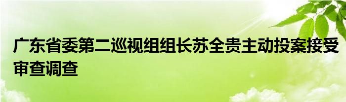 广东省委第二巡视组组长苏全贵主动投案接受审查调查