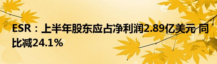 ESR:上半年股东应占净利润2.89亿美元 同比减24.1%