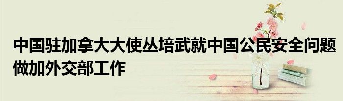 中国驻加拿大大使丛培武就中国公民安全问题做加外交部工作
