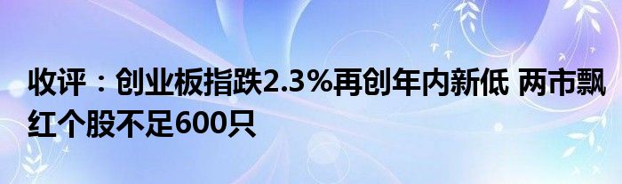 收评:创业板指跌2.3%再创年内新低 两市飘红个股不足600只