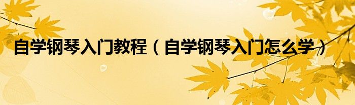 自学钢琴入门教程(自学钢琴入门怎么学)