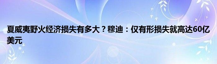 夏威夷野火经济损失有多大?穆迪:仅有形损失就高达60亿美元