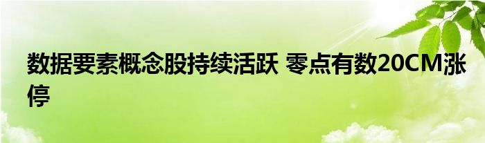 数据要素概念股持续活跃 零点有数20CM涨停