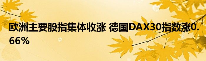 欧洲主要股指集体收涨 德国DAX30指数涨0.66%
