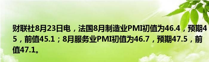 财联社8月23日电,法国8月制造业PMI初值为46.4,预期45,前值45.1;8月服务业PMI初值为46.7,预期47.5,前值47.1。